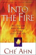 Into the Fire: How You Can Enter Renewal and Catch God's Holy Fire