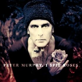 Peter Murphy album cover