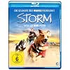 Storm - Sieger auf 4 Pfoten [Blu-ray]