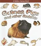 Guinea Pigs and Other Rodents (What Kind of Animal Is It?)