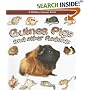 Guinea Pigs And Other Rodents (What Kind of Animal Is It?)