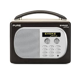 PURE EVOKE Mio Chocolate, Rechargeable DAB/FM Radio
