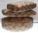 COACH EYEGLASSES CASE (Large)