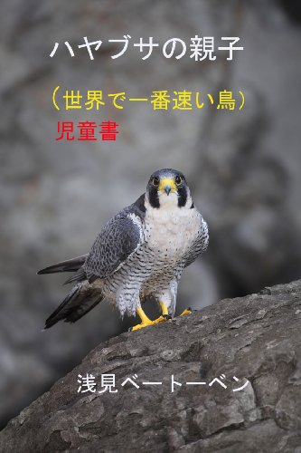 ハヤブサの親子　（世界で一番速い鳥）