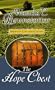 The Hope Chest (Center Point Christian Romance (Large Print))