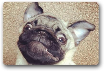 Top Fabric &amp; Non-Slip Rubber Indoor/Outdoor Doormat Door Mats - Funny Pug Dog Floor Mat Rug for Home/Office/Bedroom