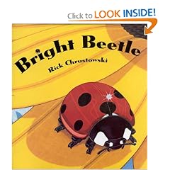 Bright Beetle