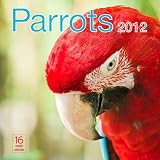 2012 Parrots Wall calendar