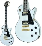 FERNANDES RLC-70SDZ/SW �G���L�M�^�[