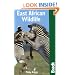 East African Wildlife (Bradt Travel Guide)