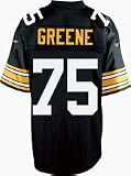 Joe Greene 1976 Pittsburgh Steelers #75 Throwback Reebok NFL Youth Football Jersey (Black)