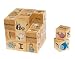 Bible ABC Stacking Building Blocks