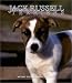 Book Jack Russell Terriers Weekly 2004 Calendar