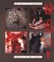 Brus Muehl Nitsch Schwarzkogler: Writings of the Vienna Actionists