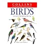 Birds of Southern Africa (Collins Illustrated Checklist)
