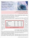 Review The Standish Group International, Inc.  / Collecting the Cash : A Dot-Com DARTS Series Research Note - Part I
