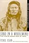 Sand in a Whirlwind: The Paiute Indian War of 1860