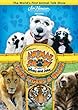 Henson's Animal Show With Stinky & Jake: Lions [DVD] [Import]