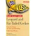 Leopard and Fat Tailed Geckos (Reptile Keeper's Guides)
