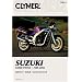 Clymer Suzuki Gs500 Twins, 1989-2002: Service, Repair, Maintenance (Clymer Motorcycle Repair)