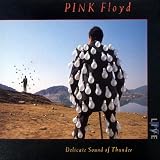 Delicate Sound Of Thunder