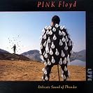  Delicate Sound of Thunder (Disc 1)