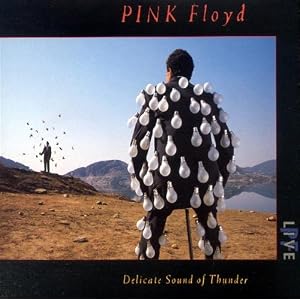 Pink Floyd -  Delicate Sound of Thunder (Disc 1)