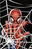 Spider-Man (Web) Art Poster Print - 22x34