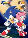 SONIC X WALL SCROLL