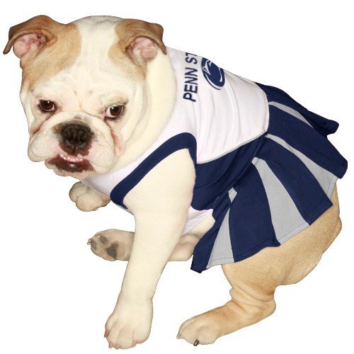 NCAA Penn State University Cheerleader Dog Outfit, Medium