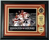 MLB Washington Nationals Team Force 24KT Gold Coin Photo Mint