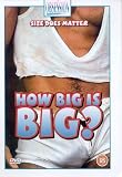 Review Quantum Leap  / How Big Is Big?