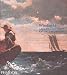 Winslow Homer: An American Vision