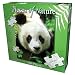 Giant Panda Jigsaw Puzzle 100pc