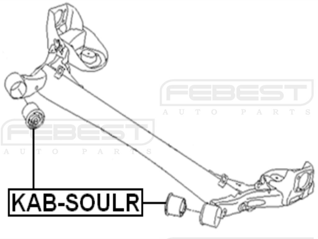 i have a bad pass side rear trailing arm bushing. what am i in for