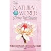 Wildflowers of the World Playing Cards (Natural World Playing Card Collection)