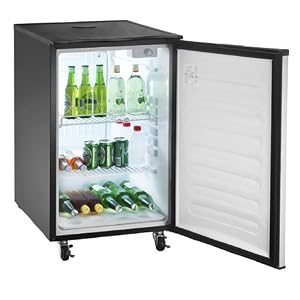 Great Northern Stainless Steel Kegerator Beer Dispenser Refrigerator