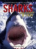 Sharks and other fish