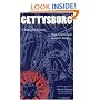Gettysburg: A Battlefield Guide (This Hallowed Ground: Guides to Civil Wa)