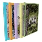  Catwings (4 Volume Set)  by Ursula K. LeGuin and S.D. Schindler