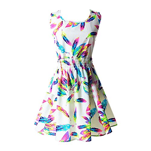 Hee Grand Women's Casual Summer Fit and Flare Floral Sleeveless Dress Chinese Feather