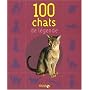100 chats de l�gende de Stefano Salviati