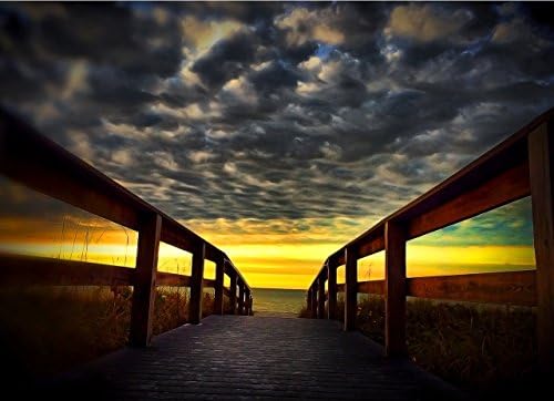 Sanibel Island 26"x19"