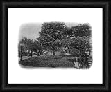 Gardens of the Hotel de Ville, Le Havre, Normandy, France, early 20th century. - Framed Print 20x16 (51x40cm) by Heritage-Images
