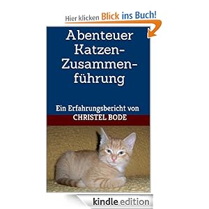 Abenteuer Katzen-Zusammenfhrung