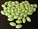 Luminous Glow Fishing Beads 3/8