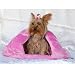 Hideaway Comfort Bed