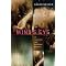 New Scandinavian Crime/Mystery Novels