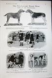 1907 PETERBOROUGH HOUND DOG SHOW DUKE BEAUFORT CHARITY