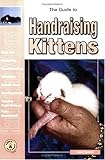 The Guide to Handraising Kittens The Guide to Handraising Kittens